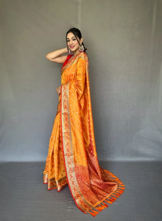 Sarees uploaded by Vishwas fashion on 6/17/2023