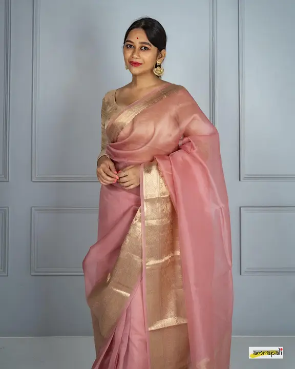 Banarasi daybal kora arganza soft silk sarees uploaded by Ms & sons on 6/17/2023