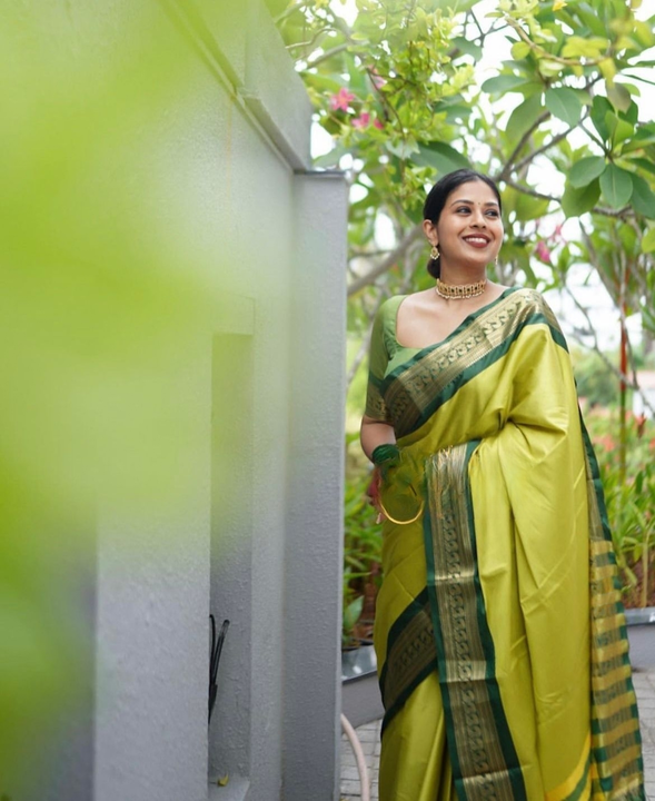 Hevay brordar with rich pallu design saree  uploaded by DHANANJAY CREATIONS on 6/17/2023