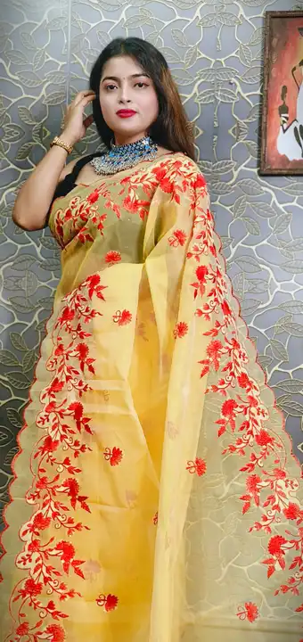 Organza Embroidery Cutwork Saree uploaded by business on 6/17/2023