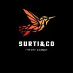 Business logo of SURTI&CO
