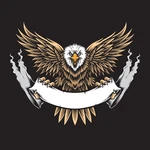 Business logo of Eagle perfect mens wear