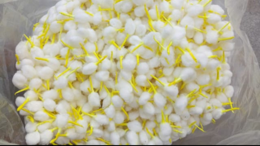 Round cotton wick  uploaded by Suvarna Enterprise on 6/19/2023