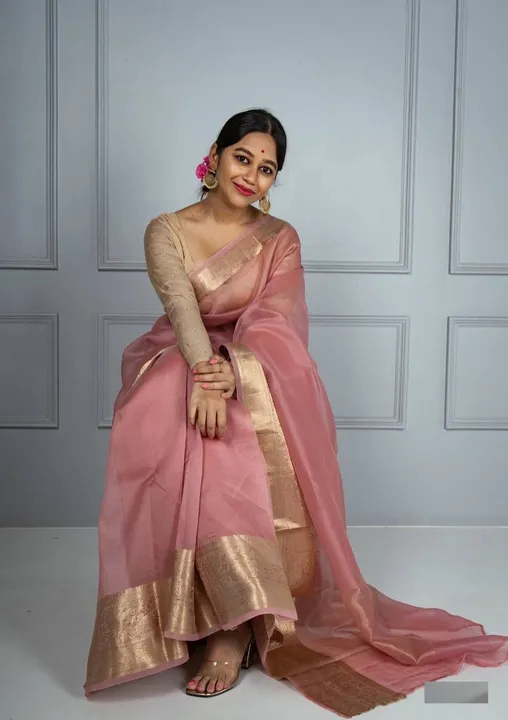 Kora Orgenza jacquard Soft Saree With Pallu & Running Blouse uploaded by Celeb Styles on 6/21/2023