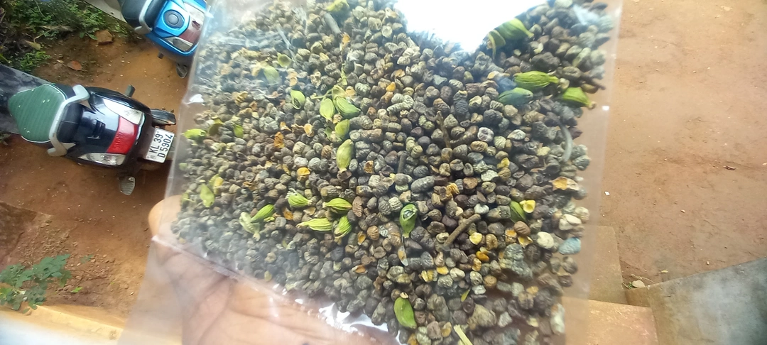 CARDAMOM SEEDS 🍃 uploaded by IMR SPICES CO. KERALA  on 6/22/2023
