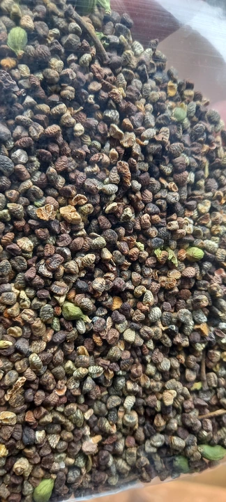 CARDAMOM SEEDS 🍃 uploaded by business on 6/22/2023