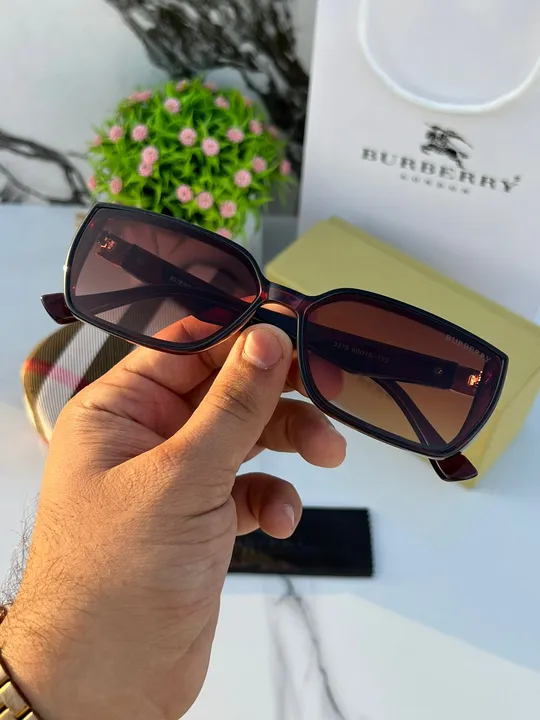 Burberry small 3310 brown uploaded by SpidyShop345 on 6/22/2023