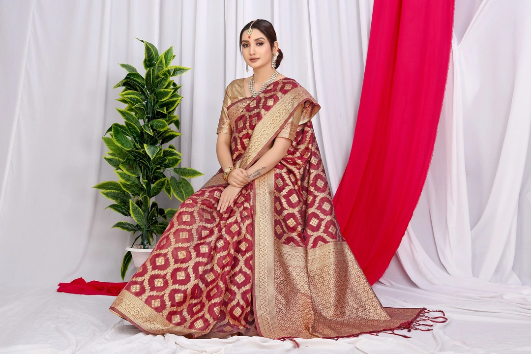 Organza Saree uploaded by Niyog Fashion on 6/22/2023