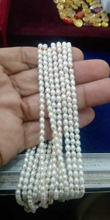 Pearls one kg uploaded by business on 3/14/2021