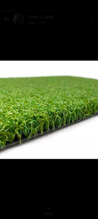 Artificial grass uploaded by business on 6/24/2023
