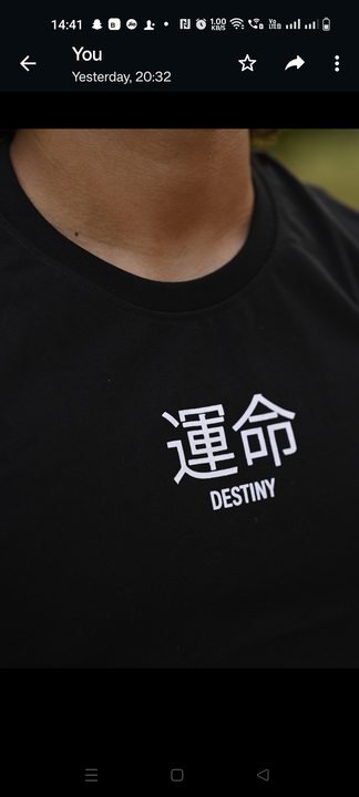 Destiny tshirt  uploaded by SCRIPTED  on 6/25/2023
