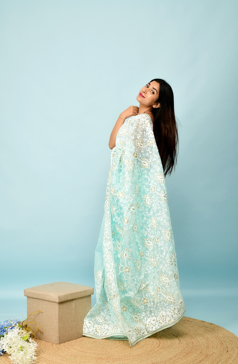Light sky chikankari worked pure organza saree uploaded by business on 6/28/2023