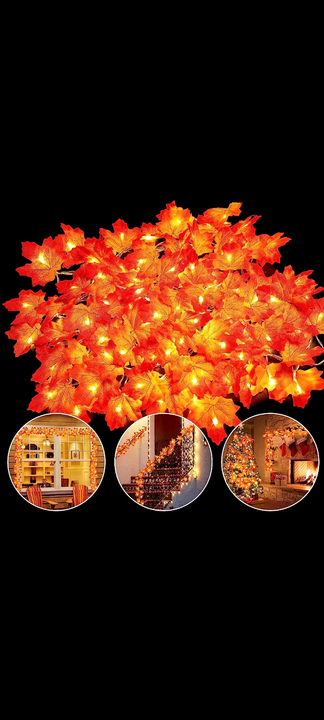 Fancy Diwali lights decoration lights 5 meter length uploaded by Gold Star lights 💡 on 6/29/2023