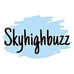 Business logo of Skyhighbuzz