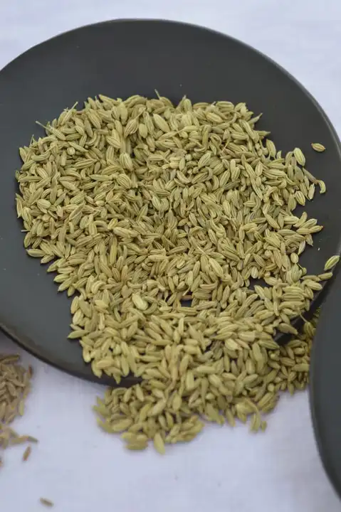 Fennel seed  uploaded by business on 7/3/2023