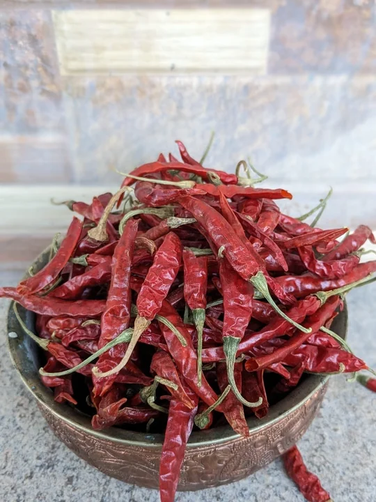 Red chilli & chilli powder  uploaded by Shakti Trading Co on 7/3/2023
