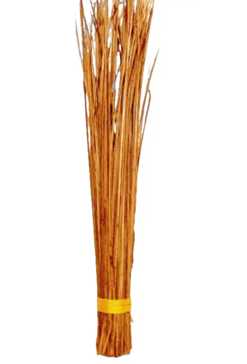 Mini coconut broom  uploaded by Taj Mercury Brooms on 7/7/2023