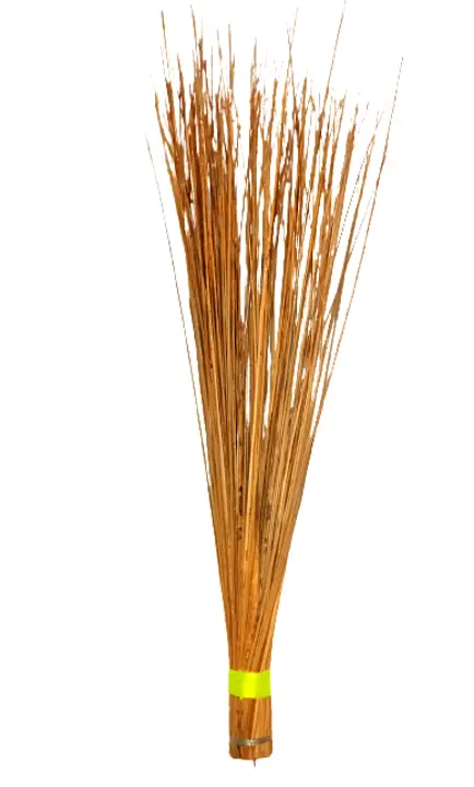 Sifar coconut broom  uploaded by Taj Mercury Brooms on 7/7/2023