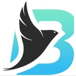 Business logo of BULBUL BIRDS JEANS