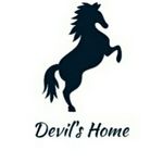 Business logo of Devil's Home