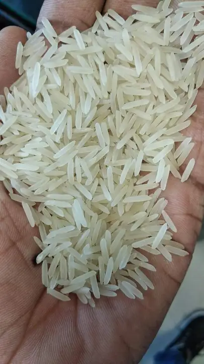Rice  uploaded by business on 7/17/2023