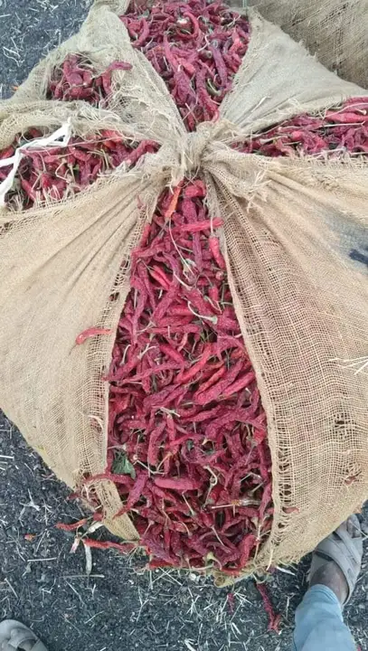 Spices  uploaded by KUSHAL TRADERS on 7/17/2023