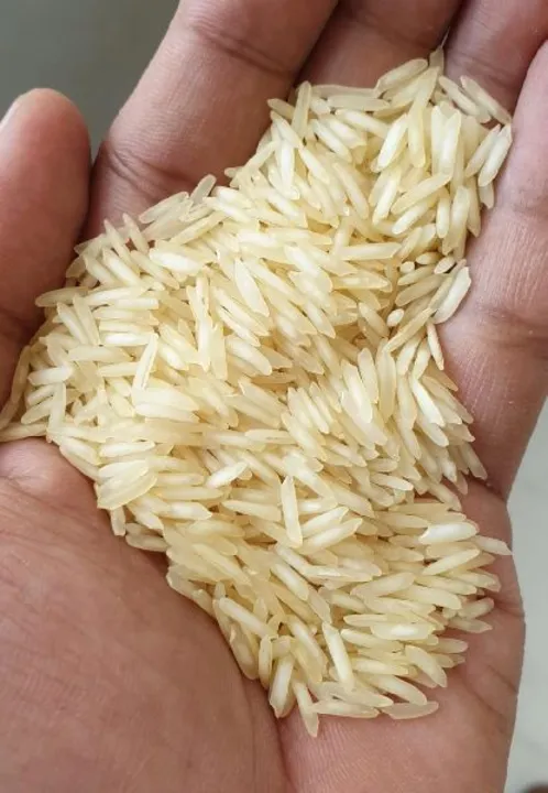 Rice  uploaded by KUSHAL TRADERS on 7/17/2023