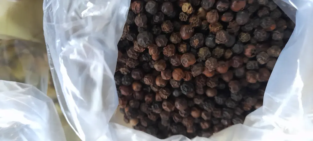 Black pepper seeds  uploaded by Ved Enterprise on 7/18/2023