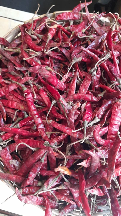Dry Red chilli 🌶  uploaded by Ved Enterprise on 7/18/2023