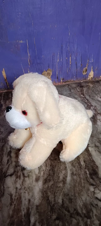 Dog teddy bear  uploaded by Shree shyam toys on 7/25/2023