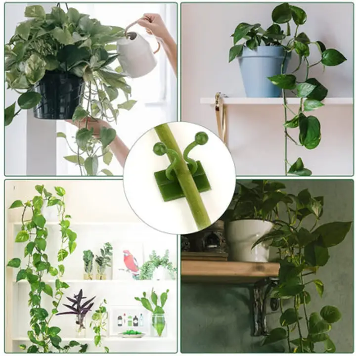 6156L Plant Climbing Wall Clips Self-Adhesive Money Plant... uploaded by DeoDap on 7/26/2023