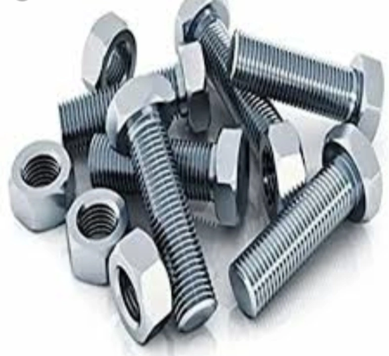 Ss nut Bolts uploaded by business on 7/29/2023