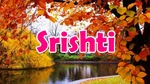 Business logo of Srishti's Collection
