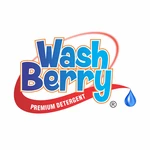 Business logo of Washberry India