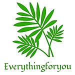 Business logo of Everythihgforyouindia