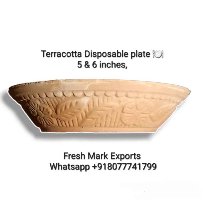 Terracotta Disposable eco-friendly plate uploaded by Fresh Mark Exports on 8/4/2023