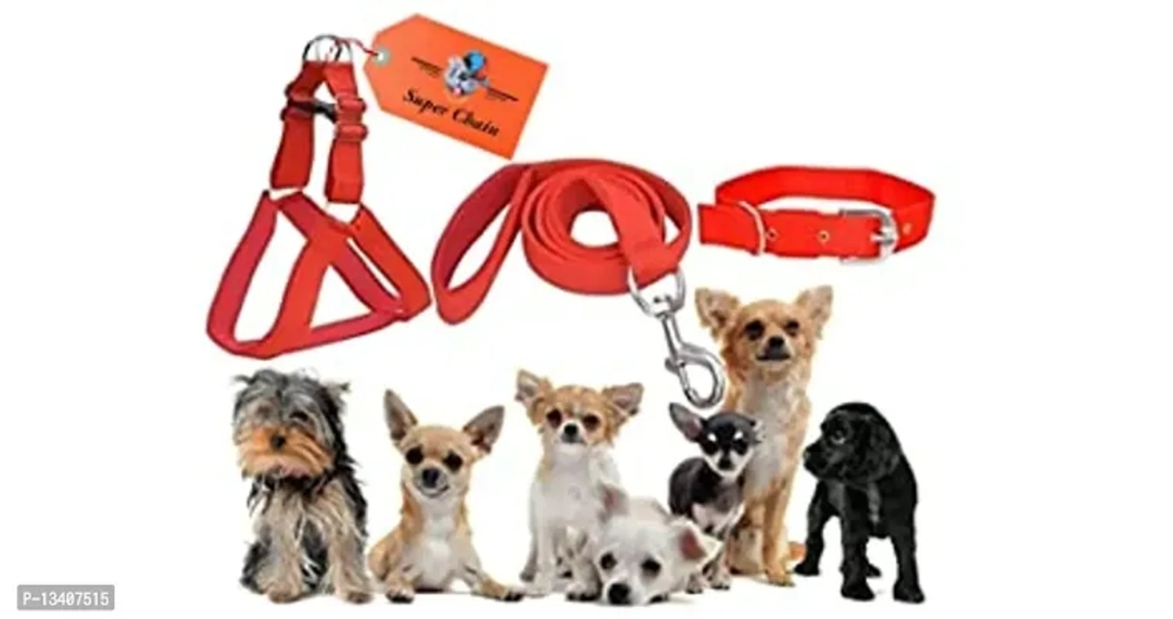 Nylon Harnesses Collars Harnesses AND Leashes uploaded by business on 8/5/2023