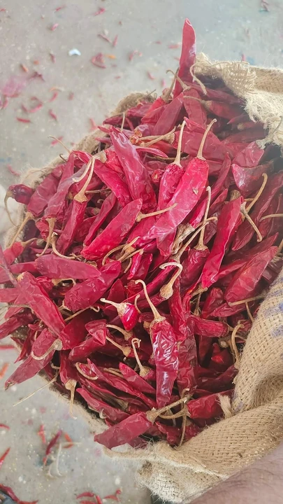 Warehouse Store Images of Red chilli