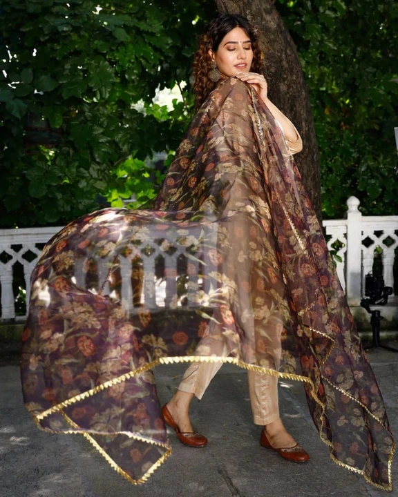 Organza printed soft Dupatta  uploaded by business on 8/10/2023