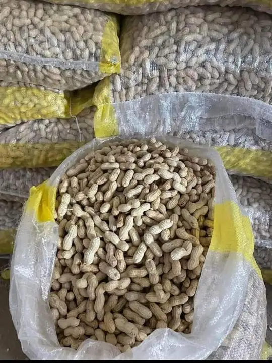 Product uploaded by KUSHAL TRADERS on 8/12/2023
