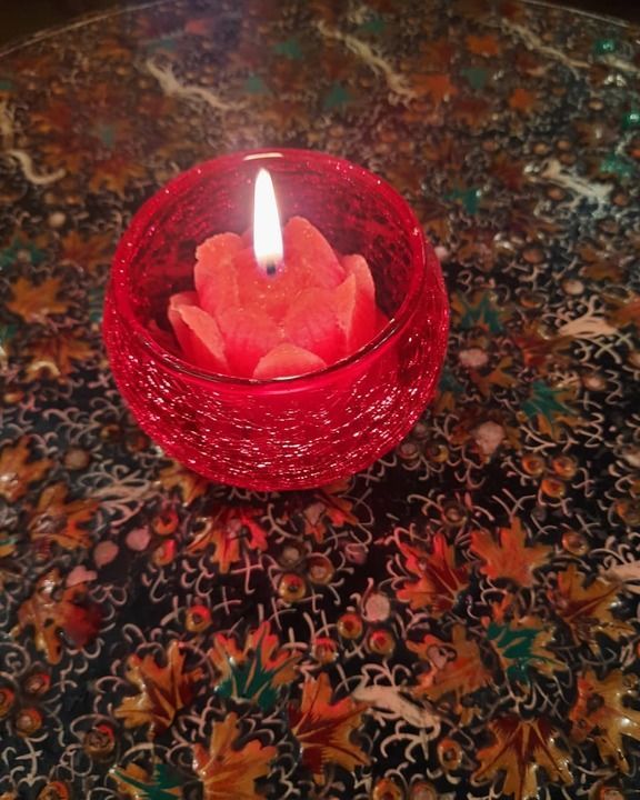 Lotus Candle with candle holder uploaded by business on 3/19/2021