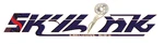 Business logo of Skylink kids