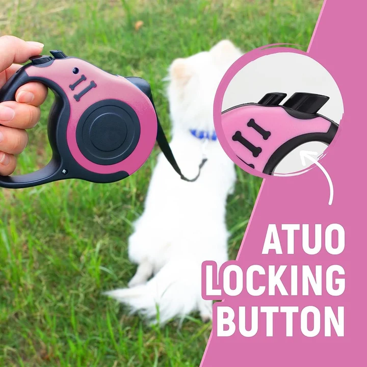 Dog belt with auto lock uploaded by business on 8/15/2023