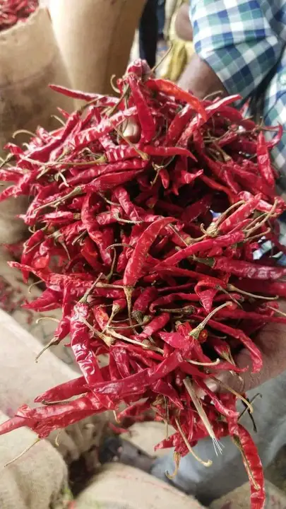 Post image Red chilli masla house packing 5(kg)_10(kg)_25(kg)_40(kg)