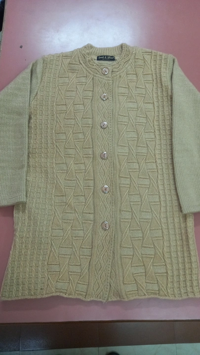 Woolen Ladies Self Long Coat uploaded by business on 8/21/2023