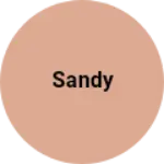 Business logo of Sandy