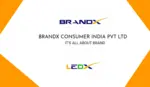 Business logo of BRANDX