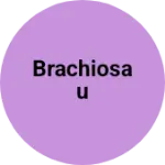 Business logo of Brachiosau