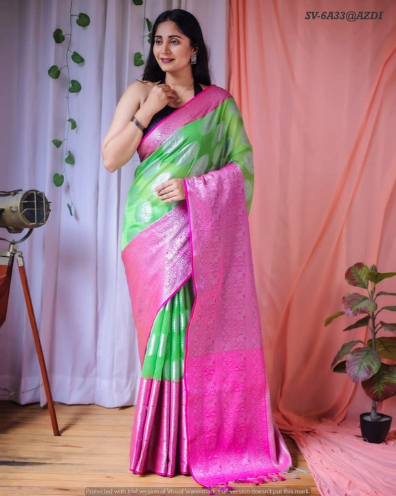 Kanchipuram organza silk  uploaded by business on 8/29/2023
