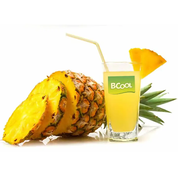 BCOOL Pineapple Instant Drink Mix, Energy Drink Mix 2.5kg(Make150 glasses).Make Juice, Lassi uploaded by Solidblack Foods Pvt Ltd on 9/5/2023